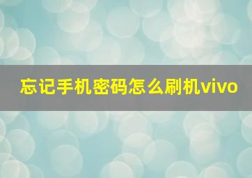 忘记手机密码怎么刷机vivo