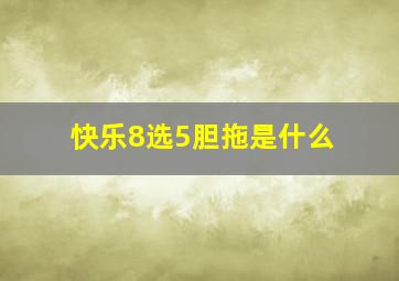 快乐8选5胆拖是什么