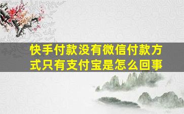 快手付款没有微信付款方式只有支付宝是怎么回事