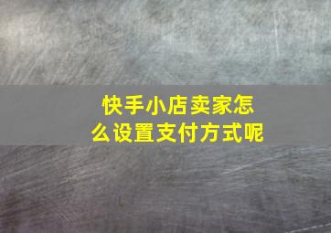 快手小店卖家怎么设置支付方式呢