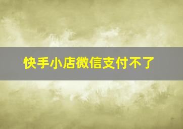 快手小店微信支付不了