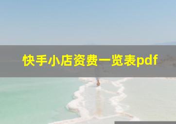 快手小店资费一览表pdf