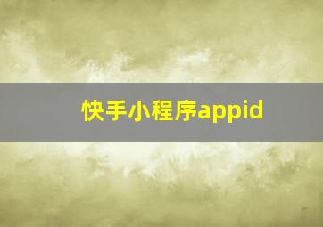 快手小程序appid