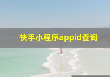 快手小程序appid查询