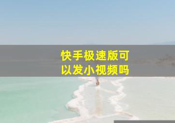 快手极速版可以发小视频吗