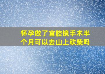 怀孕做了宫腔镜手术半个月可以去山上砍柴吗