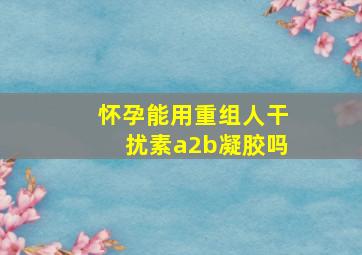 怀孕能用重组人干扰素a2b凝胶吗