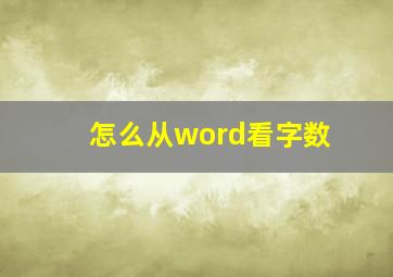 怎么从word看字数