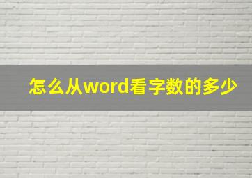 怎么从word看字数的多少