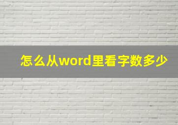 怎么从word里看字数多少