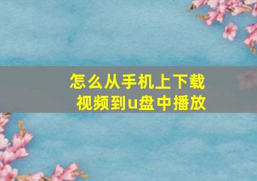 怎么从手机上下载视频到u盘中播放