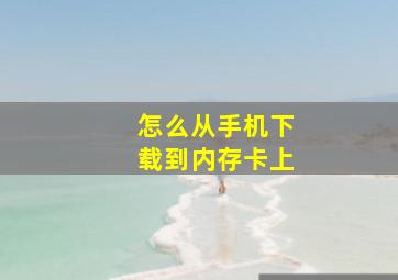 怎么从手机下载到内存卡上