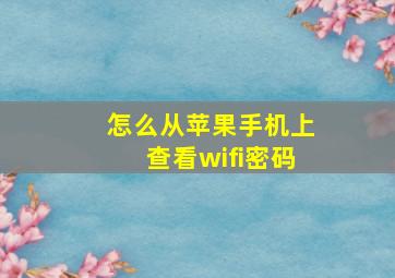 怎么从苹果手机上查看wifi密码