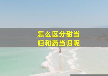 怎么区分甜当归和药当归呢