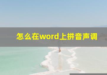 怎么在word上拼音声调