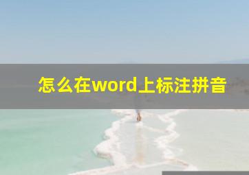 怎么在word上标注拼音