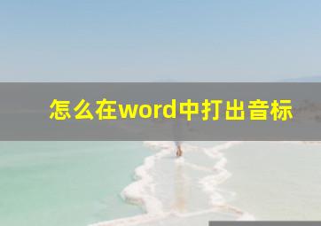 怎么在word中打出音标