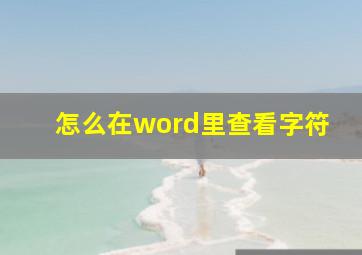 怎么在word里查看字符