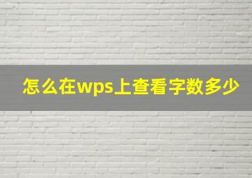 怎么在wps上查看字数多少