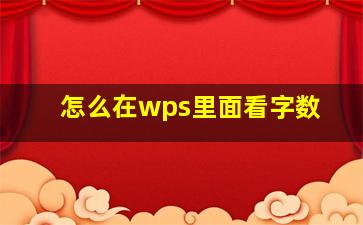 怎么在wps里面看字数