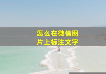 怎么在微信图片上标注文字