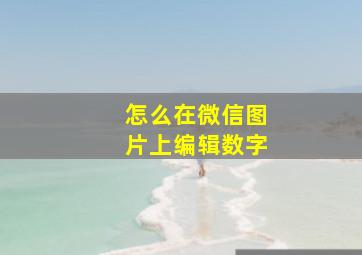 怎么在微信图片上编辑数字