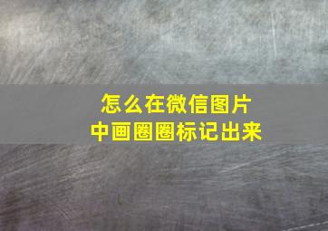 怎么在微信图片中画圈圈标记出来