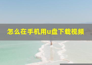 怎么在手机用u盘下载视频