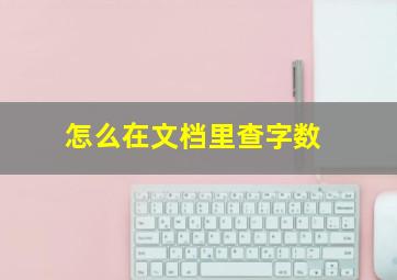 怎么在文档里查字数