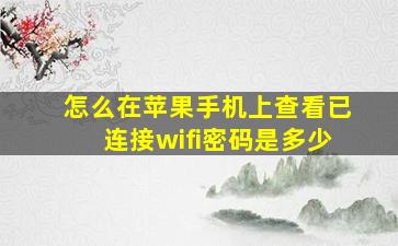 怎么在苹果手机上查看已连接wifi密码是多少