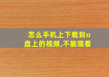 怎么手机上下载到u盘上的视频,不能观看