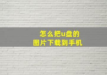 怎么把u盘的图片下载到手机