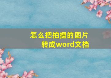 怎么把拍摄的图片转成word文档