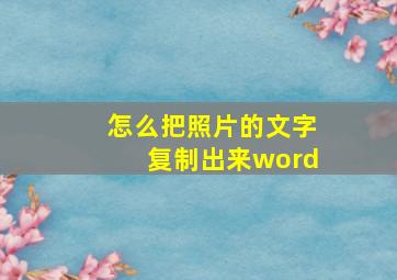 怎么把照片的文字复制出来word