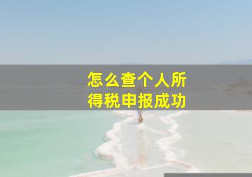 怎么查个人所得税申报成功