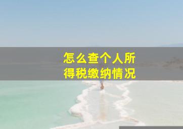 怎么查个人所得税缴纳情况