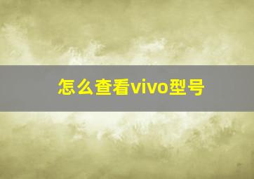 怎么查看vivo型号