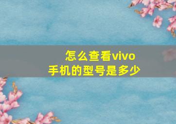 怎么查看vivo手机的型号是多少