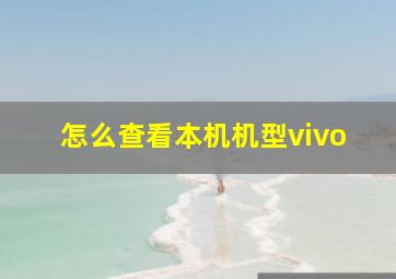 怎么查看本机机型vivo