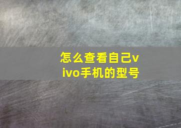 怎么查看自己vivo手机的型号