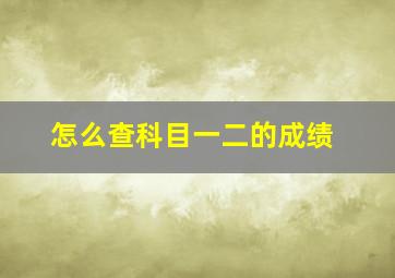 怎么查科目一二的成绩