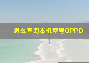 怎么查询本机型号OPPO