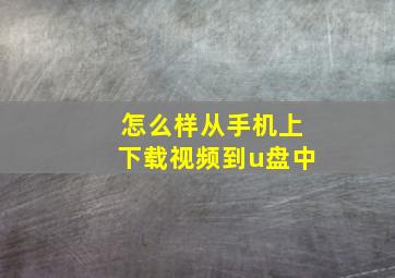 怎么样从手机上下载视频到u盘中