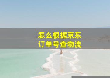 怎么根据京东订单号查物流