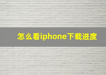 怎么看iphone下载进度