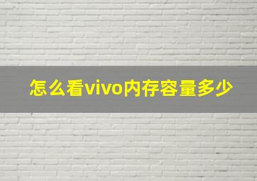 怎么看vivo内存容量多少