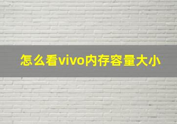 怎么看vivo内存容量大小