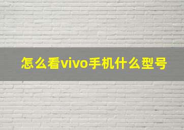 怎么看vivo手机什么型号