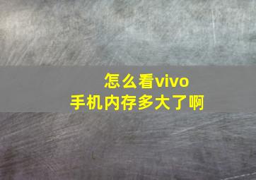 怎么看vivo手机内存多大了啊