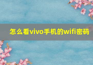 怎么看vivo手机的wifi密码